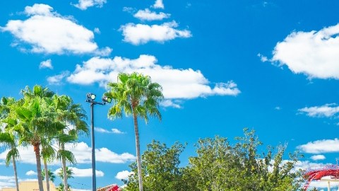 Imagen de un logotipo del parque de diversiones Universal Orlando Resort, en el que se ven árboles y una fuente con agua.