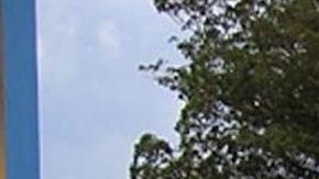 La enfermedad comienza bruscamente, con fiebre alta, dolor de cabeza intenso y malestar general severo. Muchos pacientes desarrollan síntomas hemorrágicos graves en un plazo de siete días