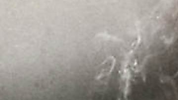 Ignacio López Tarso actuó con Verónica Castro | Mezcalent.