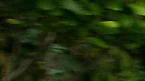 Chabelo en motocicleta.