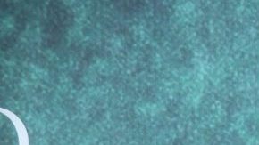 Camila Sodi contó la experiencia de su hija Fiona al conocer a Jamie Lee Curtis.