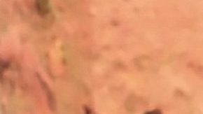 Grupo Firme cobraba muy poco dinero por sus conciertos en sus inicios.