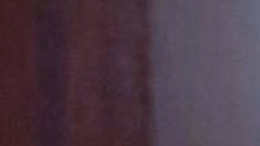 Aracely Arámbula | Mezcalent.