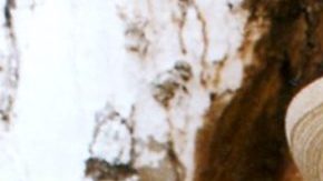 Ignacio López Tarso fue recordado por muchas celebridades.