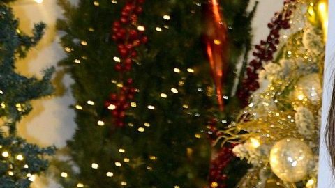 Michelle Vieth volvió a caracterizarse de su personaje en "Soñadoras".