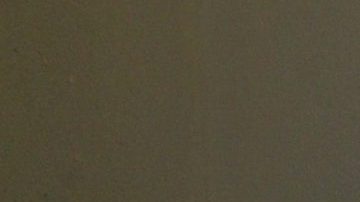 Galilea Montijo se siente acompañada en este doloroso proceso de divorcio.