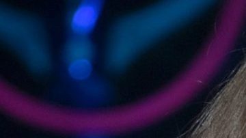 Galilea Montijo se disfrazó de Paulina Rubio.