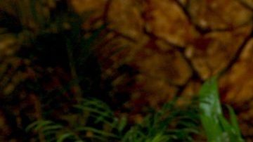 Bárbara de Regil revela cómo logra tener un matrimonio estable.