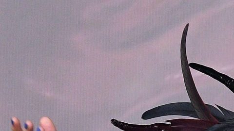 Ana Bárbara lanza mensaje feminista y sensual fotografía.