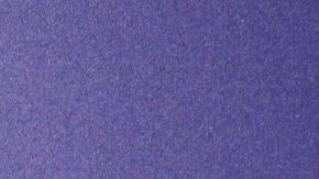 Pedro Fernández opinó sobre compañeros que cantan ebrios en sus conciertos.