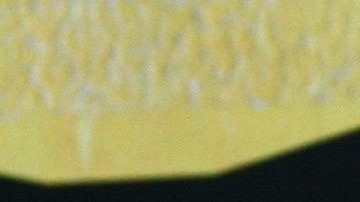 Golpean a Lorena Herrera un fan | Mezcalent