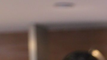 Alicia Machado | Mezcalent.