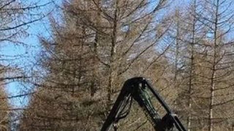 Guerra de Ucrania: Finlandia empieza a construir una valla en la frontera con Rusia para evitar la llegada de migrantes