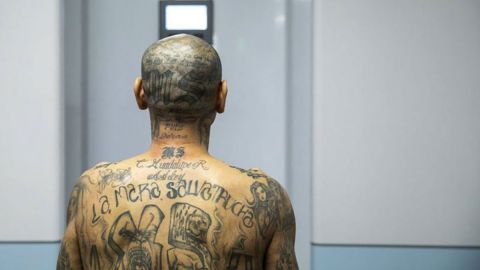 Qué es el "Programa México" de la Mara Salvatrucha y cuál fue el golpe que lo dejó al borde de su desaparición