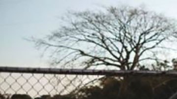 El Salvador que se reencuentran tras la "desaparición" de las pandillas por la guerra de Bukele: "Antes estábamos sitiados"
