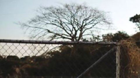 El Salvador que se reencuentran tras la "desaparición" de las pandillas por la guerra de Bukele: "Antes estábamos sitiados"