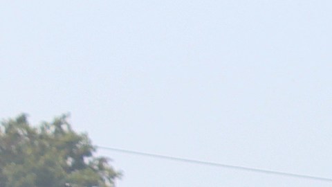 Migrantes en Tapachula quieren permisos para viajar al norte de México en avión para pedir asilo en EE.UU.