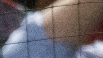 La fanaticada mexicana presente en el Clásico Mundial de Béisbol.