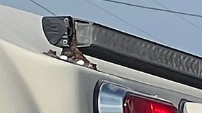 Autoridades de México creen que el secuestro y muerte de estadounidenses fue una "confusión".