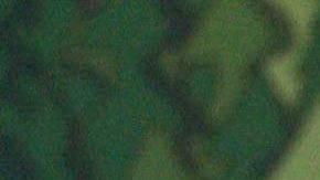 Emilio Azcárraga se despide de Chabelo | Mezcalent.