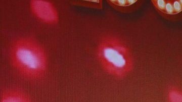 Xavier López tuvo dos grandes amores en su vida.