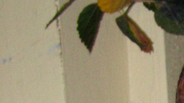 ¿De qué murió Chabelo? | Mezcalent.