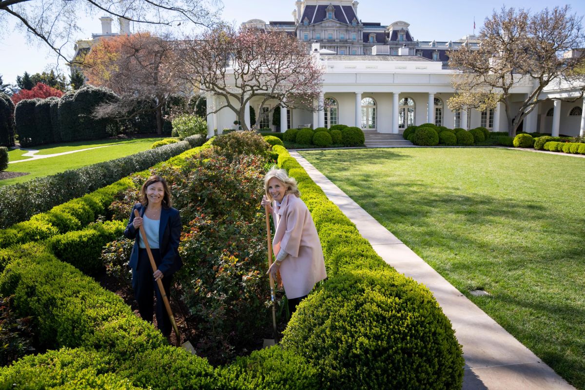 Jill Biden (d), and Julie Chávez Rodríguez, planted roses in honor of César Chávez at the White House.