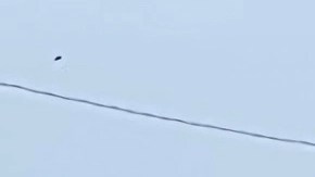 Los trabajadores agrícolas de Florida reclaman trato y salarios justos con una marcha.