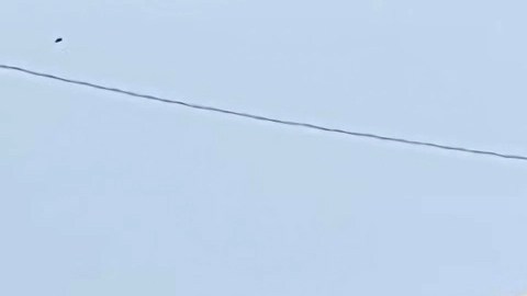 Los trabajadores agrícolas de Florida reclaman trato y salarios justos con una marcha.