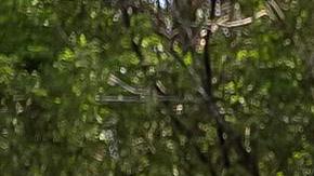 Alcalde de Nashville pidió ayuda a la comunidad para recaudar fondos para familias de las víctimas del tiroteo