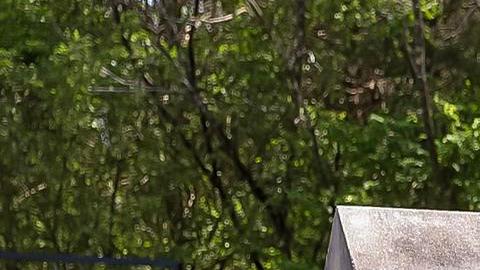 Alcalde de Nashville pidió ayuda a la comunidad para recaudar fondos para familias de las víctimas del tiroteo