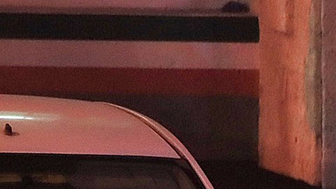 Cuerpos de migrantes fallecidos en el incendio en las instalaciones del Instituto Nacional de Migración (INM) en Ciudad Juárez.