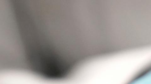 Científicos logran dar vida a ratones con dos padres tras fabricar óvulos a partir de células masculinas