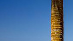 Al menos 31 muertos al incendiarse ferry en Filipinas