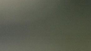 Encuentran en Australia los restos de gigantesca águila capaz de cazar canguros