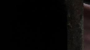 El “rascacielos granja” de 26 pisos creado por China para criar cerdos