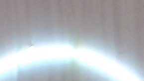 Romina Marcos domina a la perfección el uso del transporte público en la Ciudad de México.