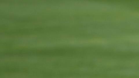 Cuba clasificó en la última jornada de la primera ronda.
