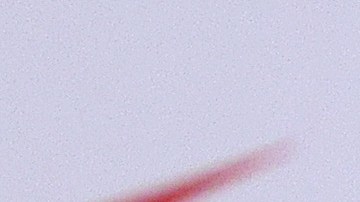 Alejandro Zendejas en conferencia de prensa con la Selección de Estados Unidos.