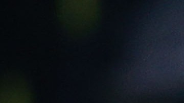 Antonio Mohamed estaría llegando al banquillo de los Pumas.