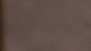 Ariana DeBose, Troy Kotsur y Jessica Chastain en los Premios Oscar 2022.