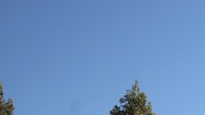 Asesinan a un padre en un Starbucks