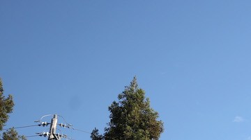 Asesinan a un padre en un Starbucks