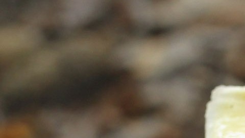 Así fue como el hongo más mortífero del mundo conquistó California