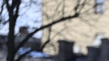 Visit Finland invita a 10 afortunados que no viven en su país a viajar gratis el próximo mes de junio para enseñarles a ser felices. / Foto: AFP/Getty Images