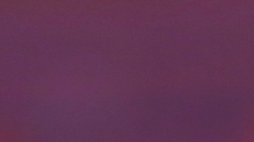 AMLO asegura que se “actuó bien” en las investigaciones para encontrar a los 4 estadounidenses secuestrados en Tamaulipas