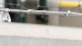 Benji Gil y Randy Arozarena de la Selección Mexicana de Béisbol.