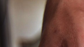 El pequeño cachorro sólo se había escapado de su casa