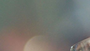 Empresa desarrolla cerveza en polvo