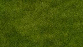 Chicharito Hernández en su etapa con la Selección Mexicana.